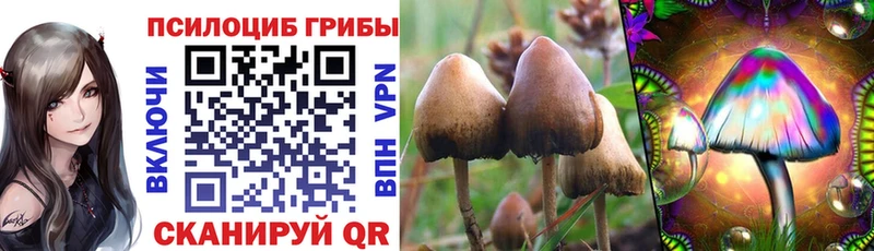 продажа наркотиков  Апатиты  Псилоцибиновые грибы мицелий 